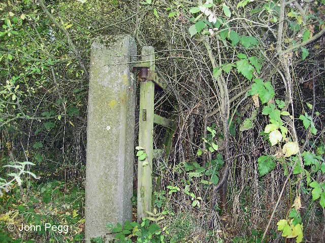 ...another gatepost.