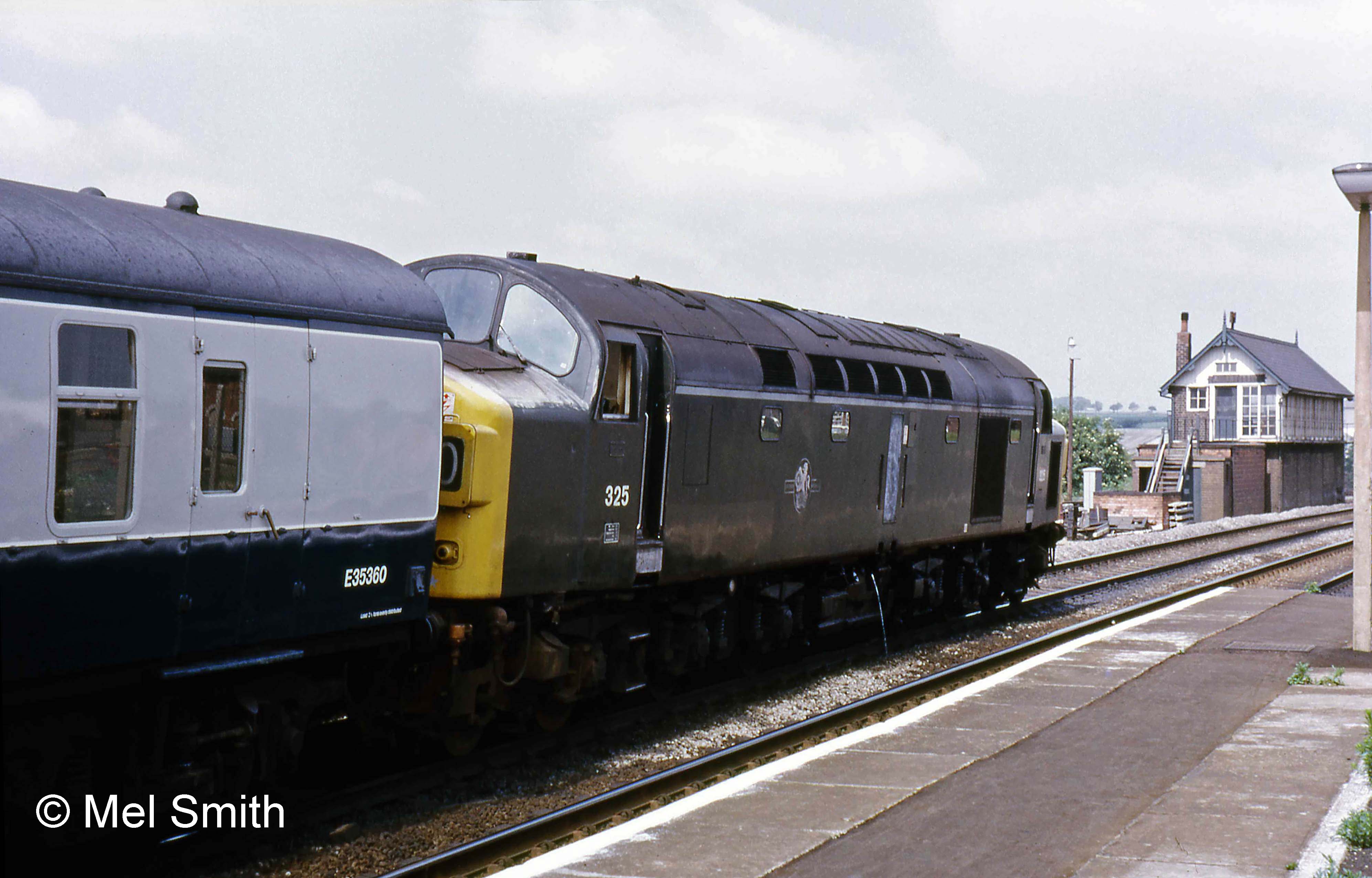 A slightly later view with the box nameboard removed. Photograph by Mel Smith.
