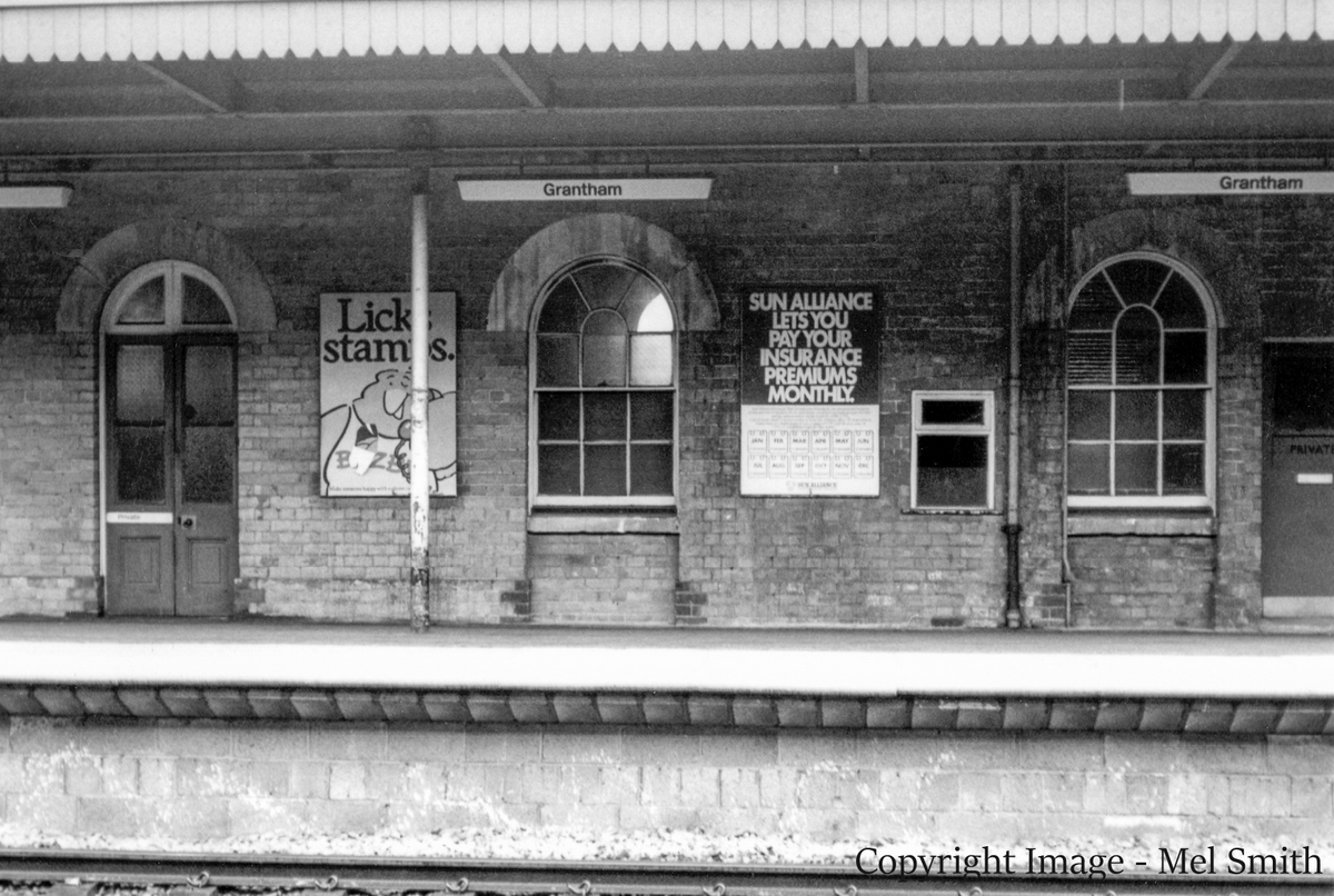 Caption to follow. Copyright Image - Mel Smith